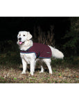 Rambo® Waterproof Fleece Dog Rug - Horse & Hound Tack Shop