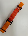 Martingale Collar