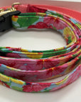 Nylon/Cotton Matching Collar & Leash Set - Horse & Hound Tack Shop