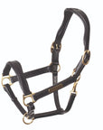 Shires Velociti Rapida Cushioned Leather Halter - Horse & Hound Tack Shop