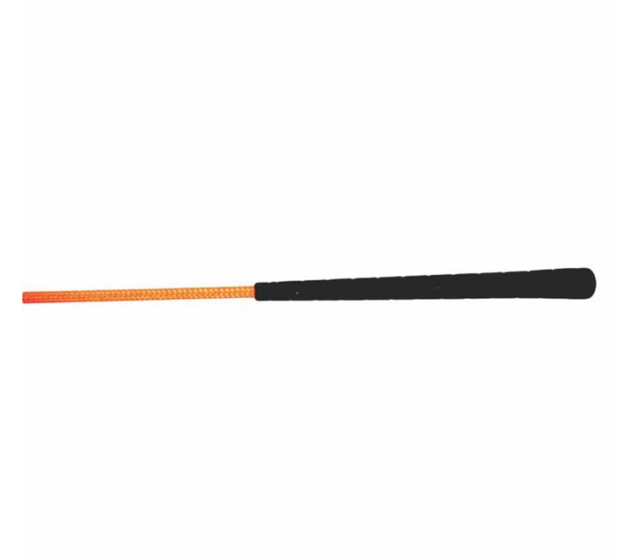 Lunge Whip
