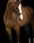 Rambo Micklem Multi Bridle - Horse & Hound Tack Shop