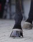 PURVIDA HEALTHY HORSE Purvida Polish - Natural Hoof Oil - Horse & Hound Tack Shop