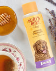 Burt’s Bees for Dogs Calming Shampoo with Lavender and Green Tea - Horse & Hound Tack Shop