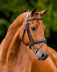 BR Cheltenham Flash Bridle - Horse & Hound Tack Shop