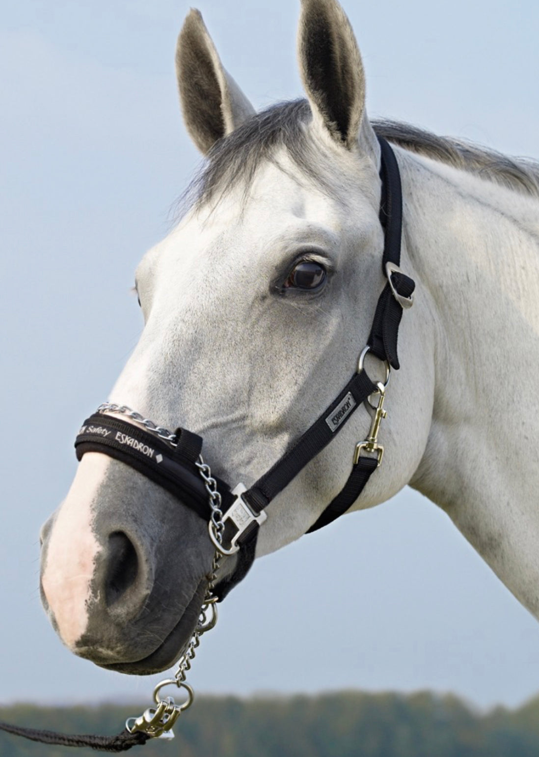 Eskadron Control Slide Buckle Halter