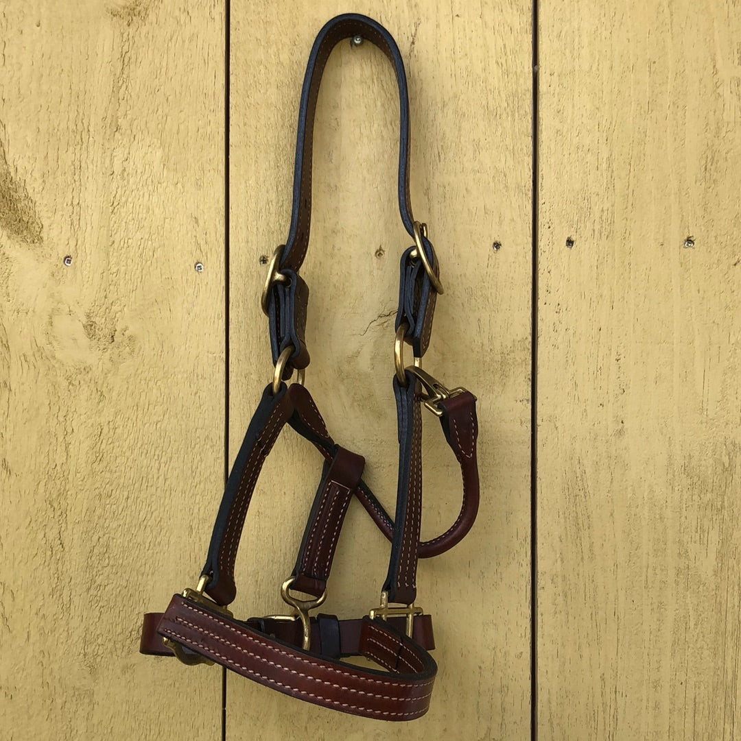 Perri's Horse Soft Padded Leather Halter
