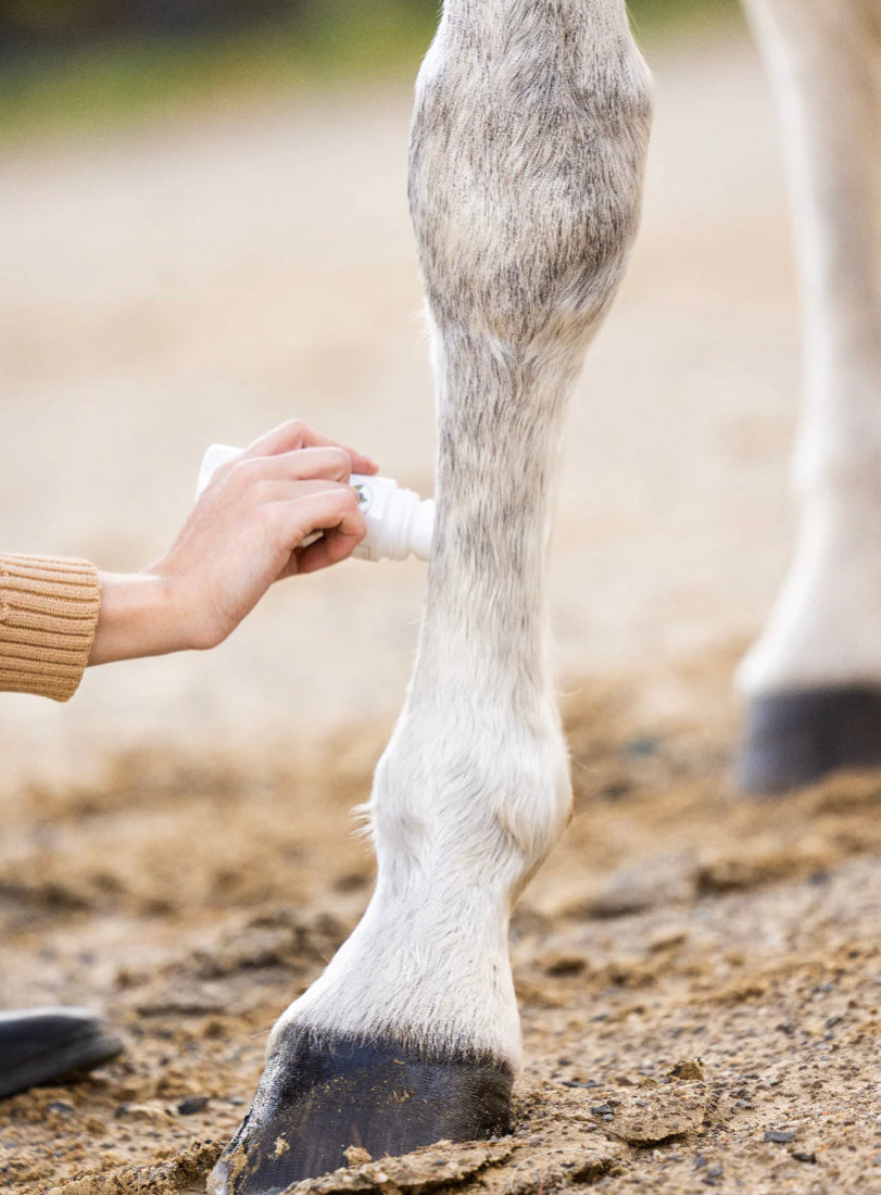 PURVIDA HEALTHY HORSE Roll-On Relief Liniment