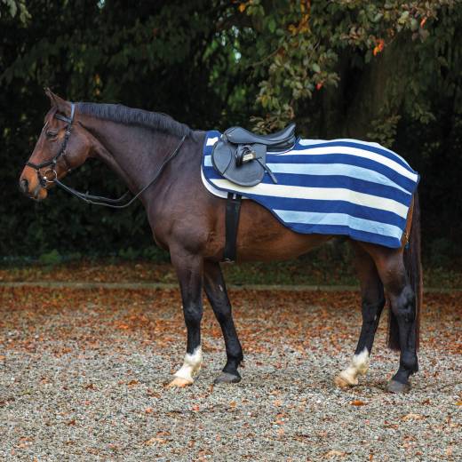 Rambo® Newmarket Competition Sheet - Horse & Hound Tack Shop & Pet Supply