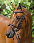 Horze Constance Padded Flash Bridle - Horse & Hound Tack Shop & Pet Supply