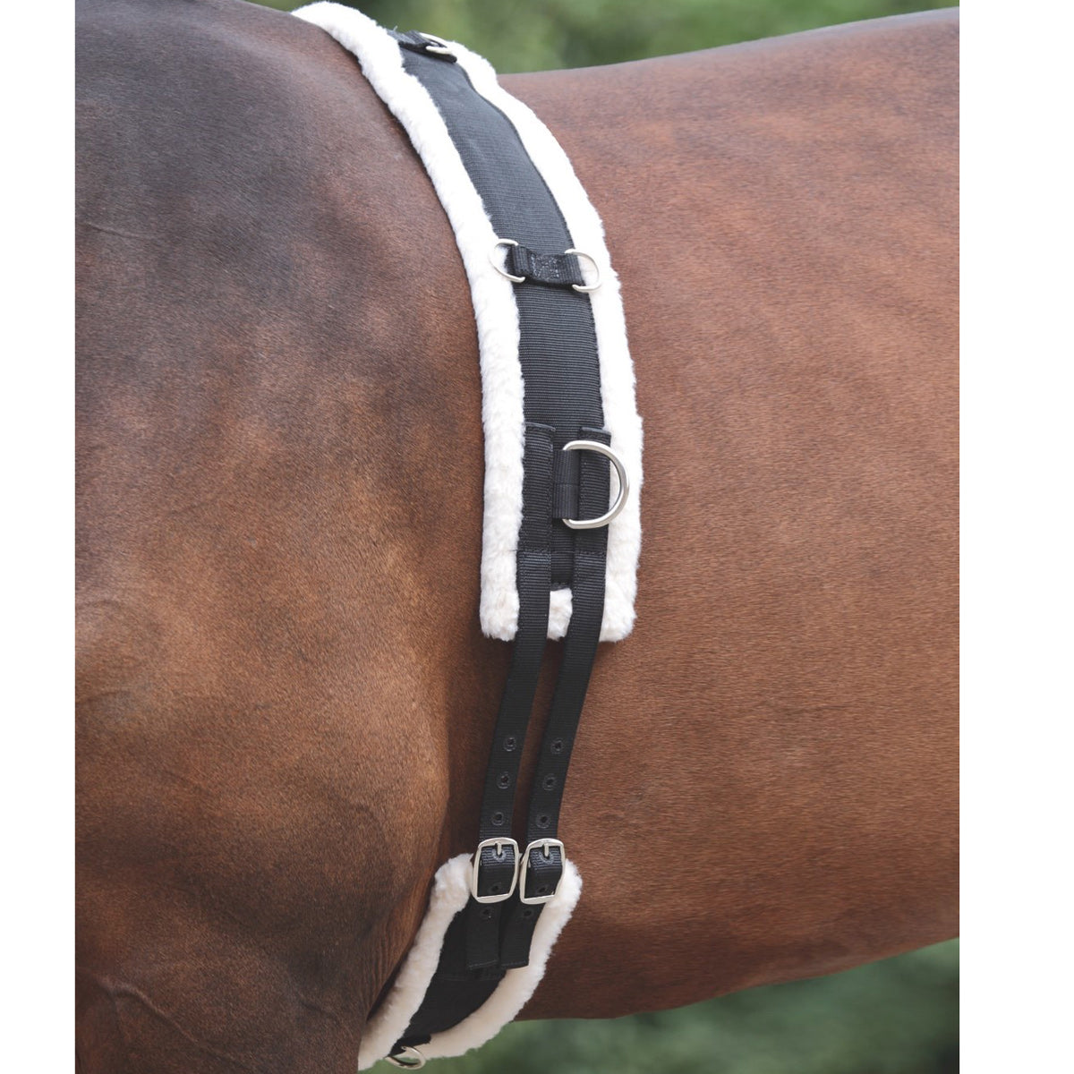 Shires Lunging Surcingle with Fleece Padding - Horse & Hound Tack Shop & Pet Supply