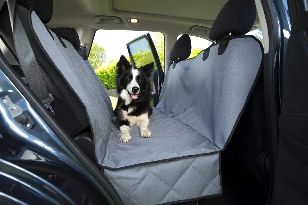 Dog shop footwell restraint