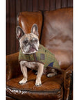 Digby & Fox Tweed Dog Coat