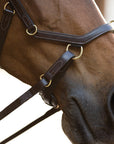 Rambo Micklem Multi Bridle - Horse & Hound Tack Shop