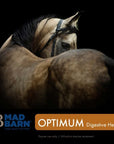 Mad Barn Optimum Digestive Health – Pellets - Horse & Hound Tack Shop & Pet Supply