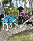 Horseware Amigo® Ripstop Dog Rug