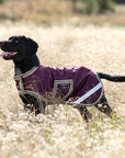 Horseware Amigo® Ripstop Dog Rug