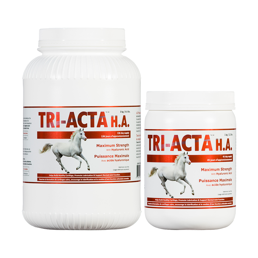 Horse Coat Supplements