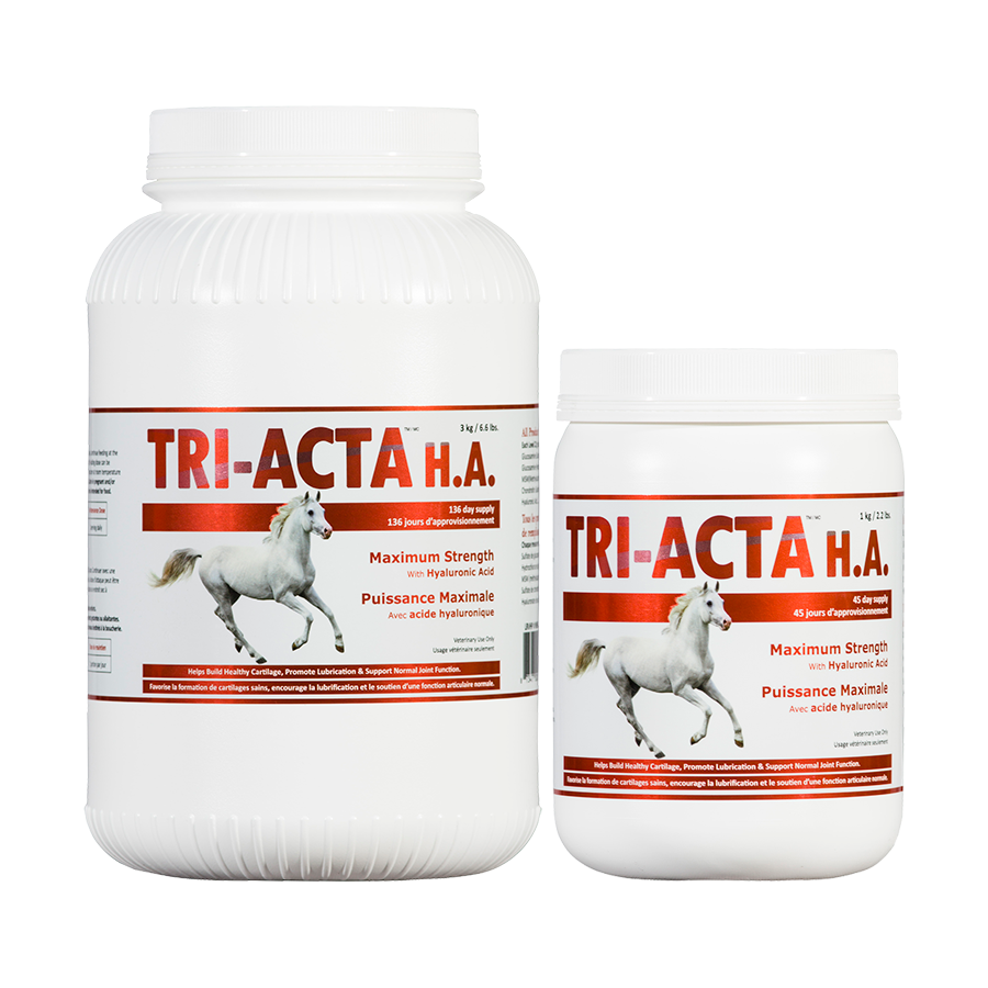 Tri-Acta HA Max. Strength Equine Joint Supplement
