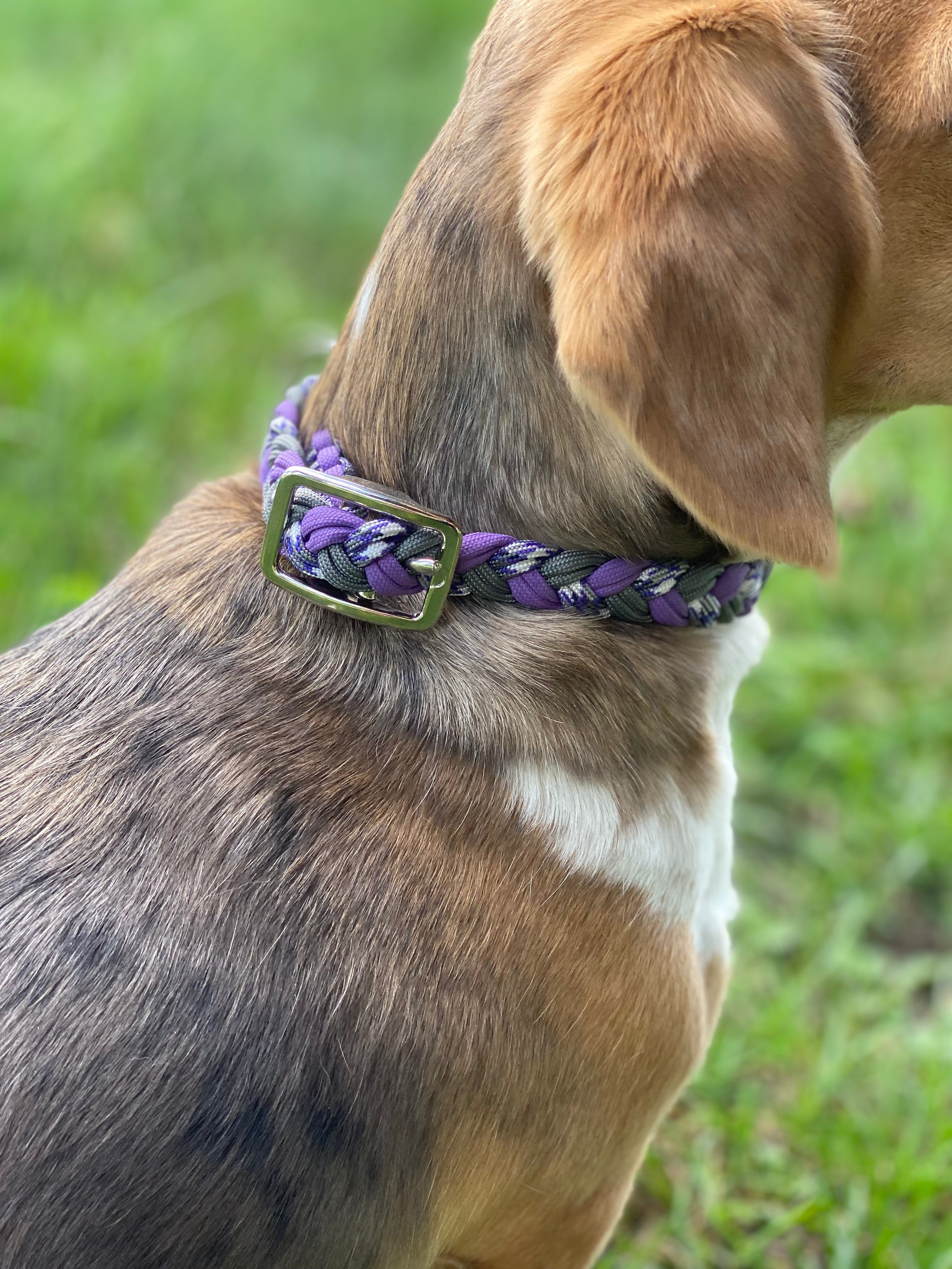 Leads N Beads Dog Collar