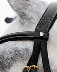 Horze Constance Padded Flash Bridle
