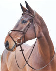 Horze Prescott Figure 8 Bridle - Horse & Hound Tack Shop