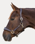 Waldhausen X-Line Anatomic Leather Halter - Horse & Hound Tack Shop