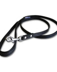 Angel Alpine Leather Dog Leash