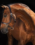 Rambo Micklem Leather Halter - Horse & Hound Tack Shop
