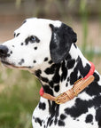 Digby & Fox Reflective Collar