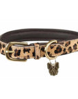 Digby & Fox Cow Hair Dog Collar