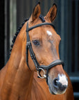 Shires Lusso Ergonomic Flash Bridle - Horse & Hound Tack Shop