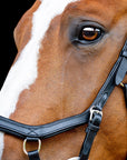 Rambo Micklem 2 Competition Bridle - Horse & Hound Tack Shop