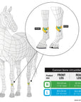 Veredus Absolute Front Dressage Boots By Isabell Werth - Horse & Hound Tack Shop