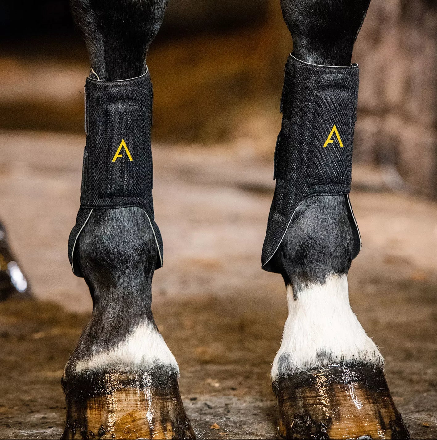 Adagio by Horseware Tendon Boots