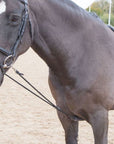 Shires Soft Lunging Aid