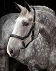 Rambo Micklem Leather Halter - Horse & Hound Tack Shop