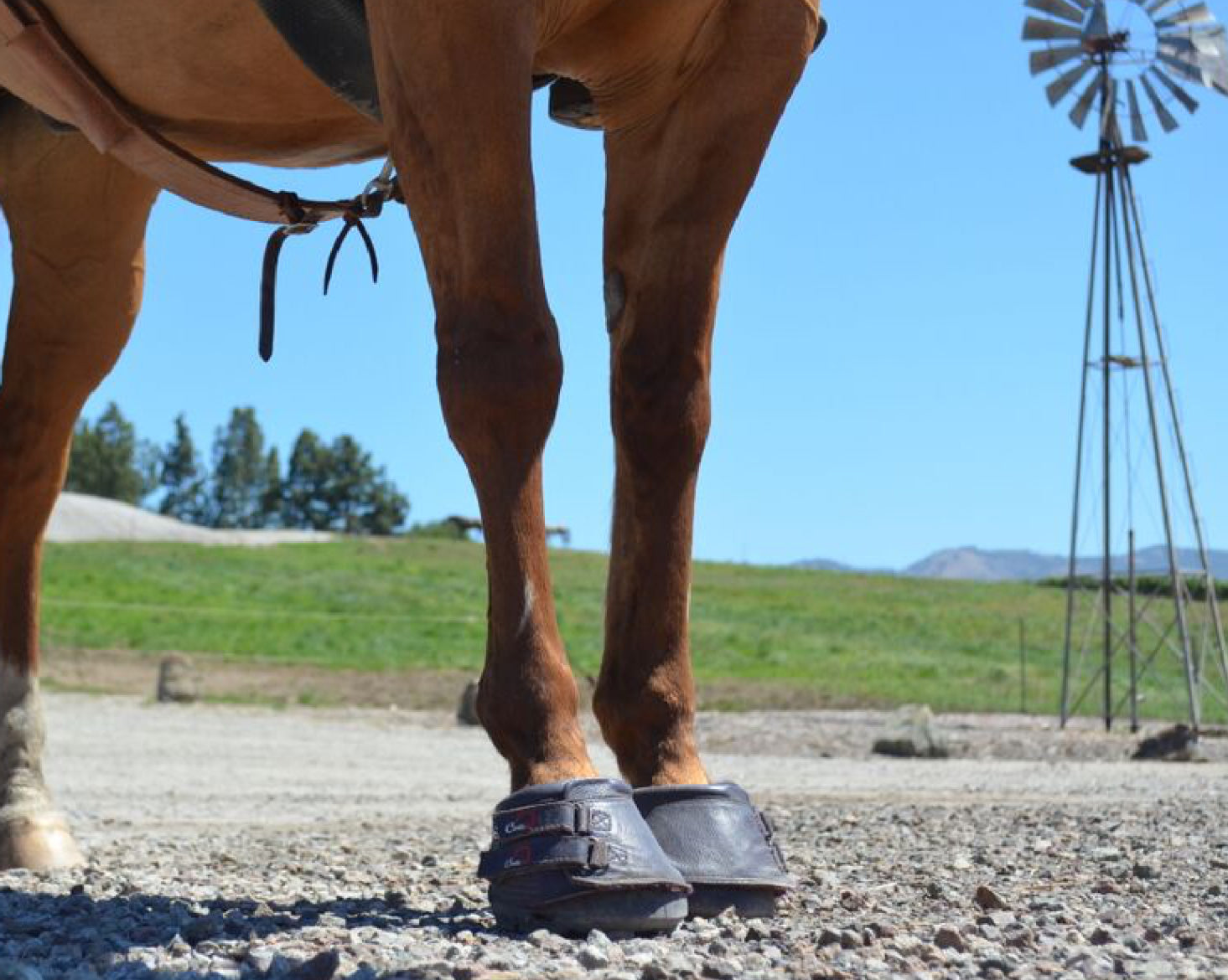 Cavallo Simple Boot Regular Sole