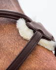 Horze Prescott Figure 8 Bridle - Horse & Hound Tack Shop