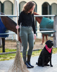 Horze LIMITED EDITION Ladies Ivy Cargo Breeches