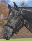 Shires Padded Leather Halter