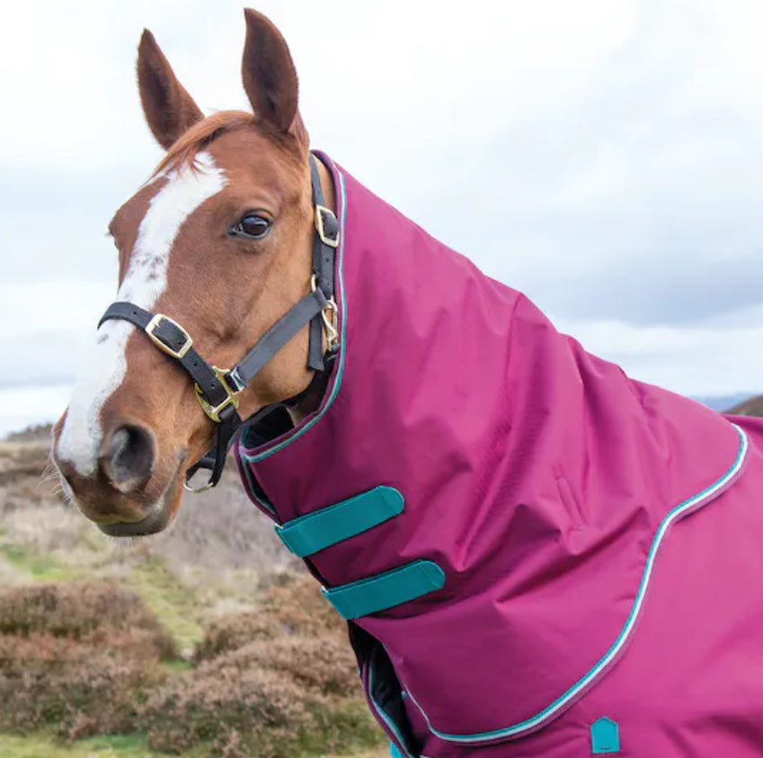 Shires Topaz Nylon Breakaway Halter