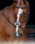 Shires Velociti Rapida Figure-8 Bridle - Horse & Hound Tack Shop