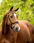 BR Bolton Bridle - Horse & Hound Tack Shop