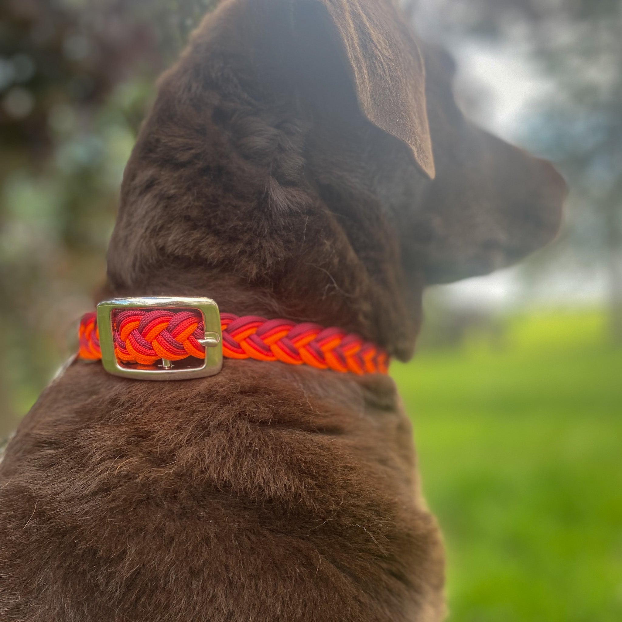Leads N’ Beads Dog Collar