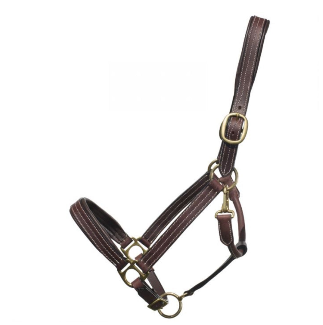 Bromont Leather Pony Halter with Brass Hardware