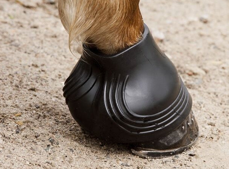 Hoof boots clearance