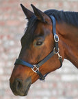Waldhausen X-Line Anatomic Leather Halter - Horse & Hound Tack Shop