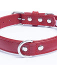 Angel Alpine Leather Collar