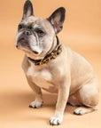 Digby & Fox Cow Hair Dog Collar